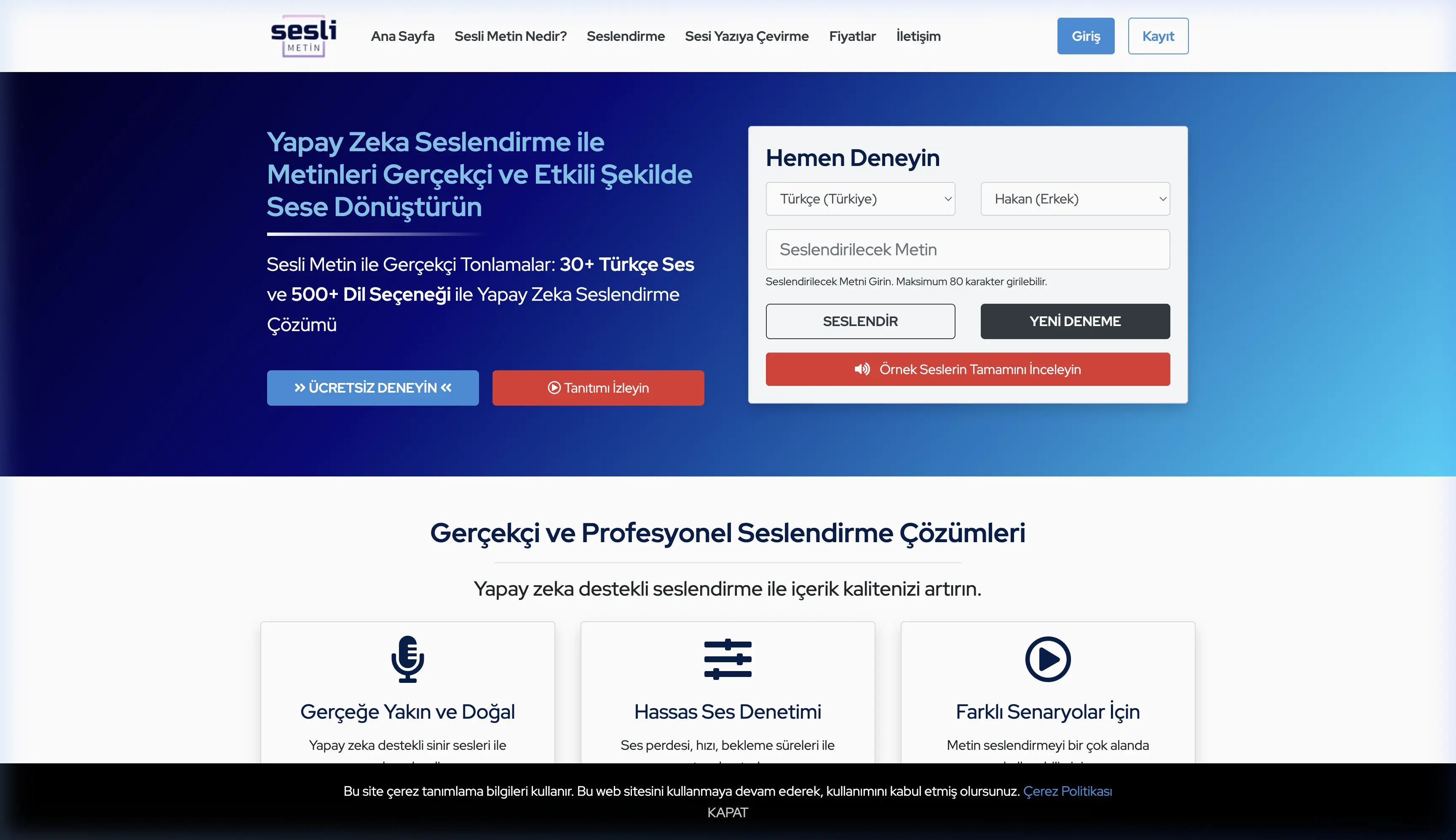 SesliMetin